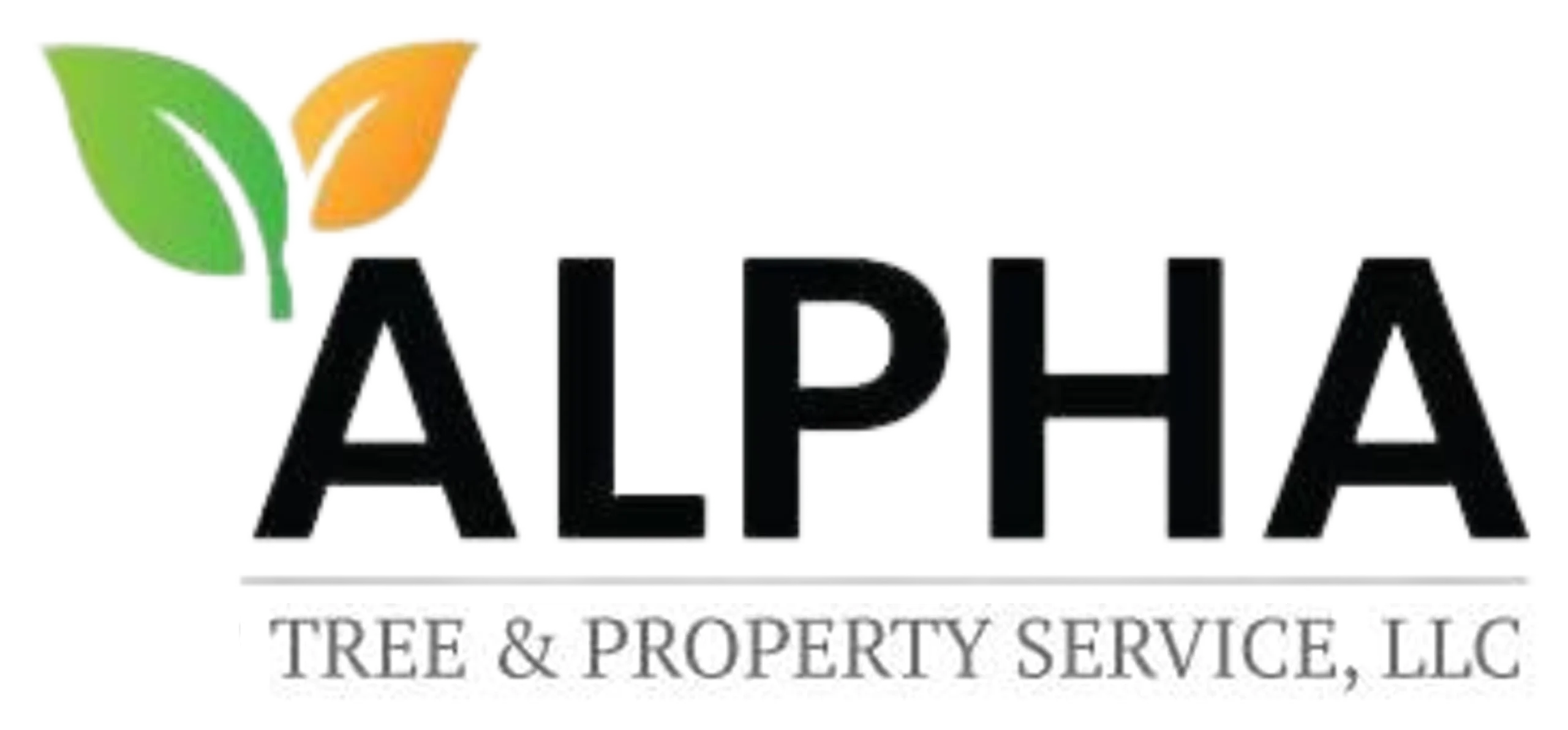 alpha logo 2 1